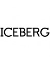 Iceberg