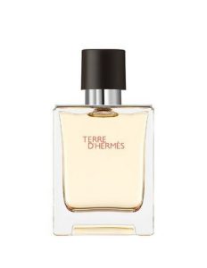 Hermes Terre d'Hermes EDP tester uomo 100ml